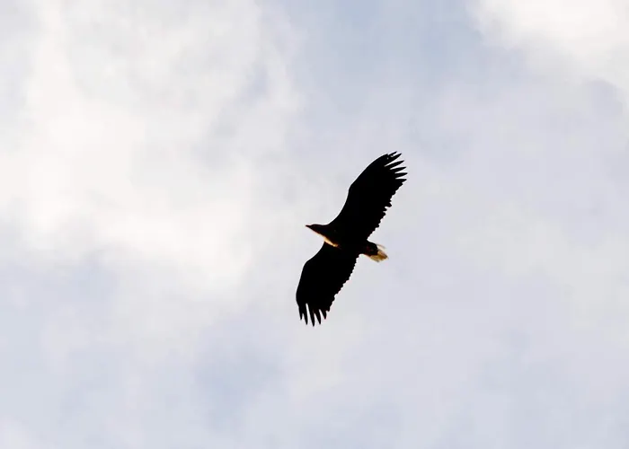 10 Person In Prázdninový dům