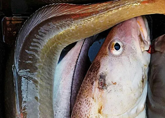 10 Person In Prázdninový dům Brattvåg